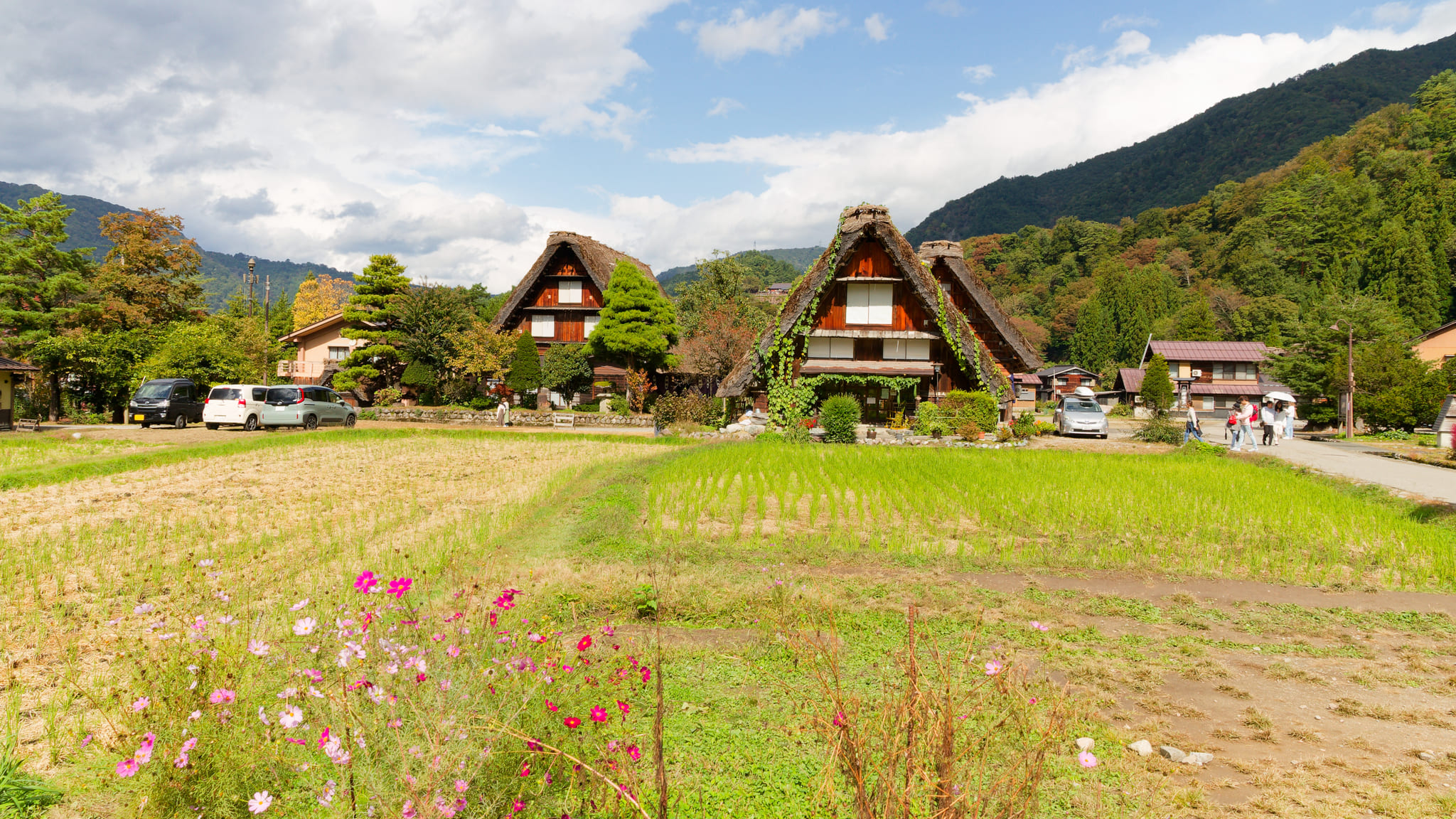 06-Shirakawa-go (12).jpg